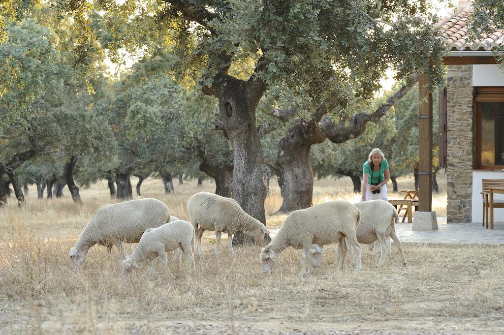 Finca Las Abubillas Jaraicejo 외부 사진